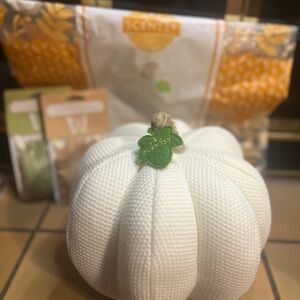 Scentsy Cream Textured Pumpkin